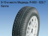 Медведь Я-660
